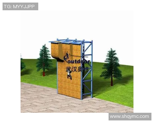 武汉攀岩队个人能力分析与表现评估的综合研究报告