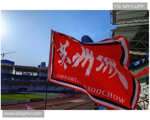 南京足球队实力崛起荣登全国足球实力排行榜第七位