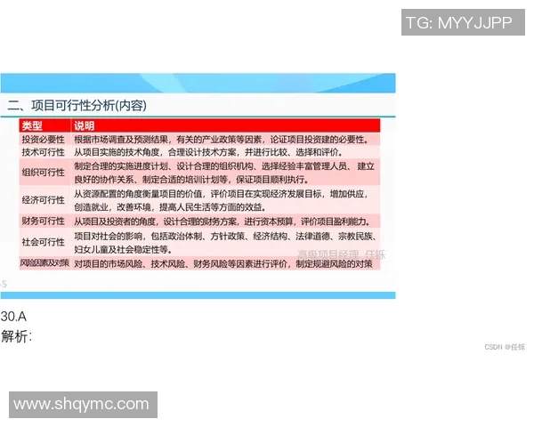 重庆网球队的深度解析与控制策略探讨之旅