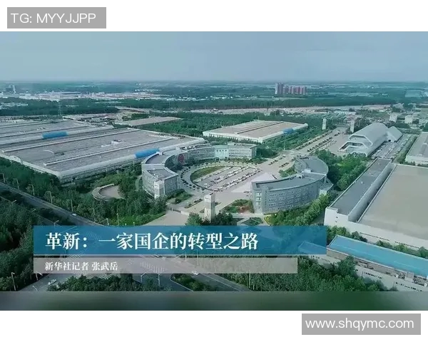 杭州排球队整体压制革新之路：从战术到团队协作的全面提升与探索